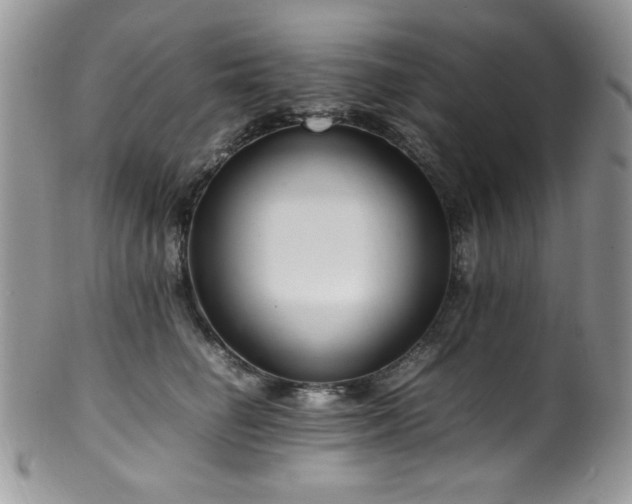 X0000100340662200806051539