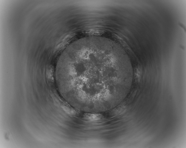 X0000100340663200806051539