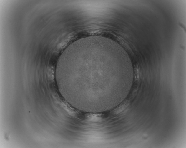 X0000100340664200806051539