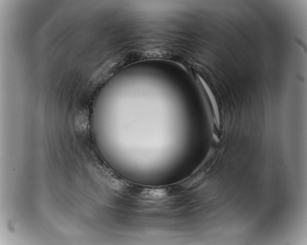 X0000100340665200806051539