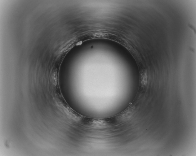 X0000100340666200806051539