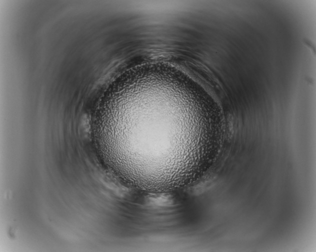 X0000100340667200806051539