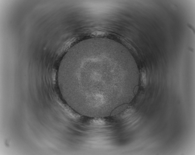 X0000100340668200806051539