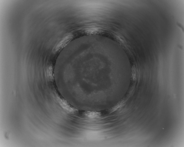 X0000100340670200806051539