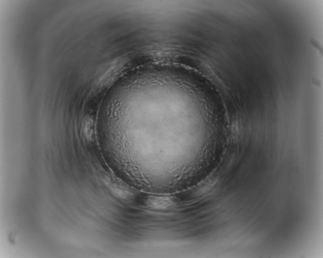 X0000100340671200806051539