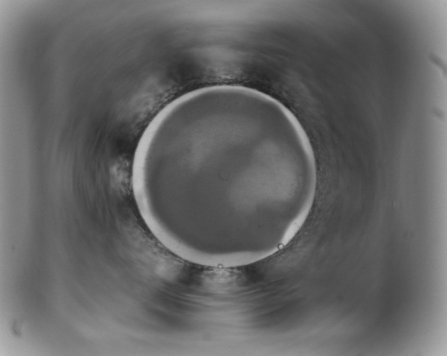 X0000100340672200806051539