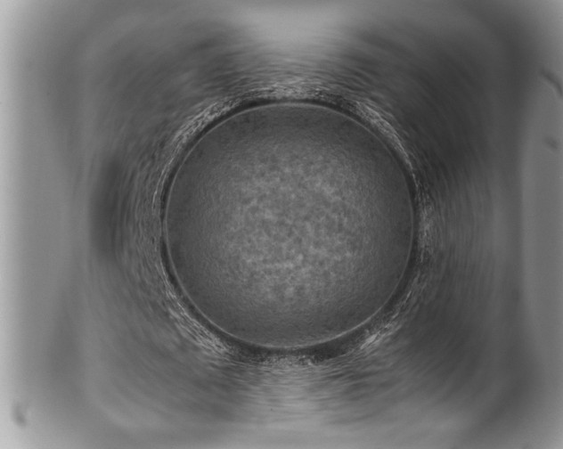 X0000100340673200806051538