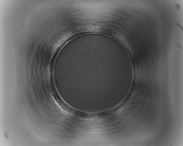 X0000100340674200806051538