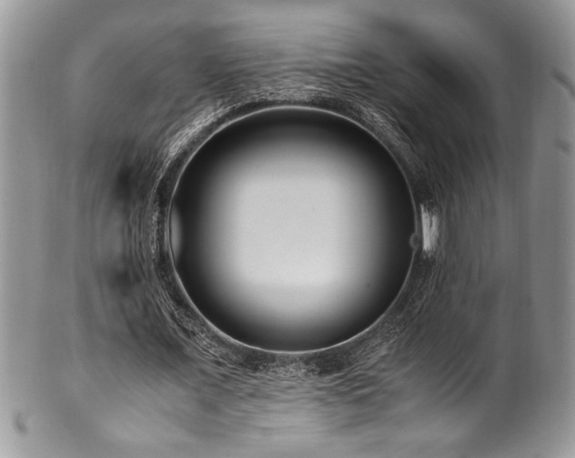 X0000100340675200806051538