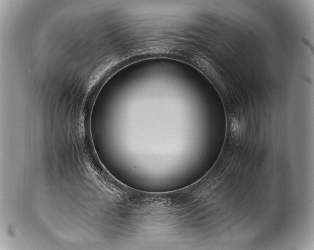 X0000100340676200806051538