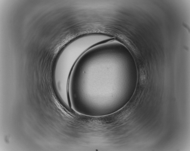 X0000100340677200806051538