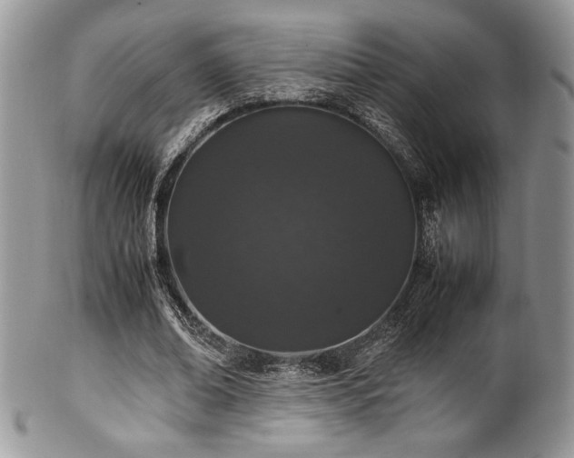 X0000100340678200806051538