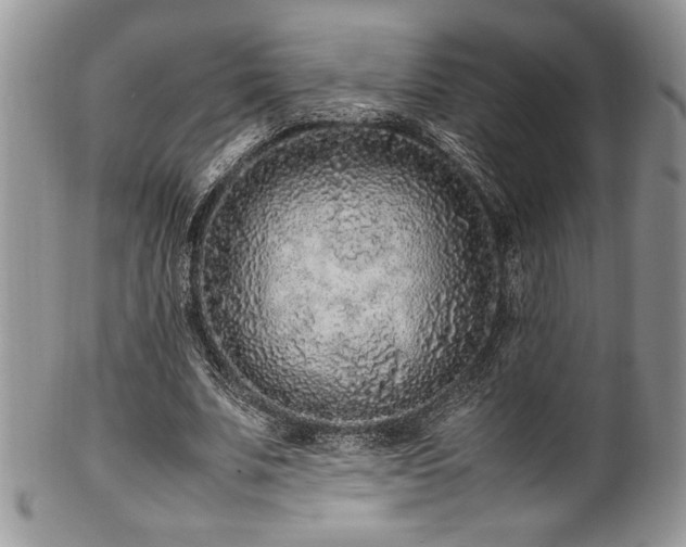 X0000100340679200806051538