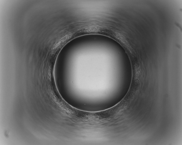 X0000100340681200806051538