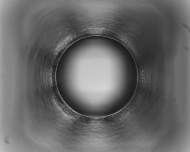 X0000100340682200806051538