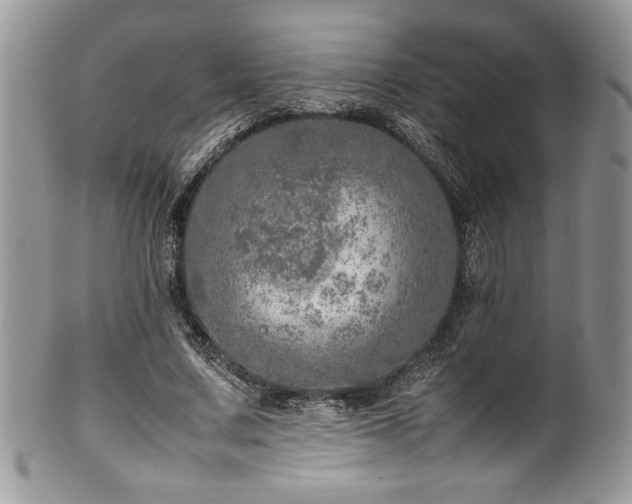 X0000100340683200806051538