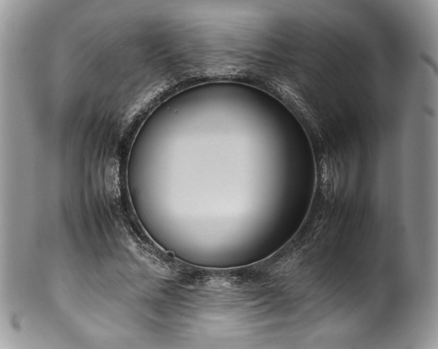 X0000100340684200806051538