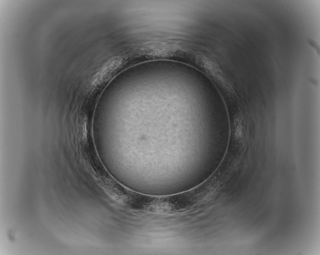 X0000100340685200806051538