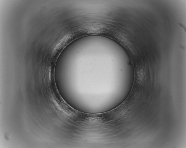 X0000100340686200806051538