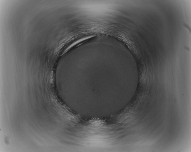 X0000100340689200806051538
