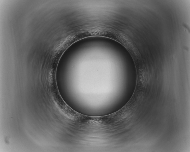 X0000100340690200806051538