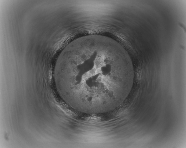 X0000100340691200806051538