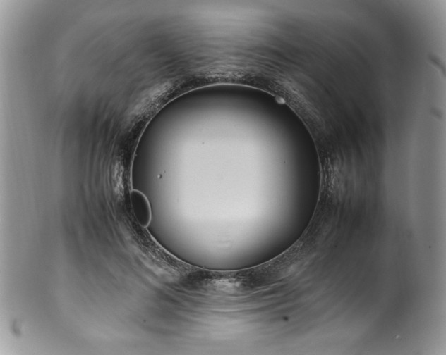 X0000100340692200806051538