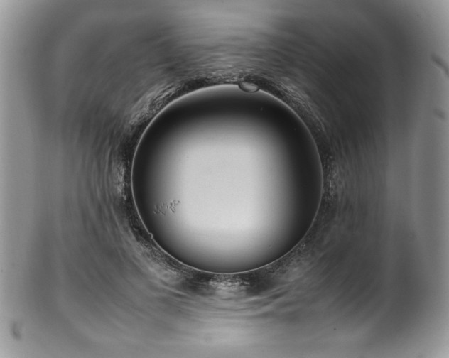 X0000100340693200806051538