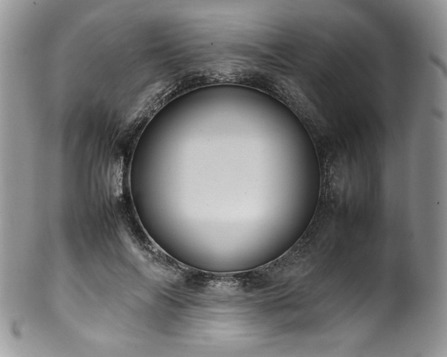 X0000100340694200806051538