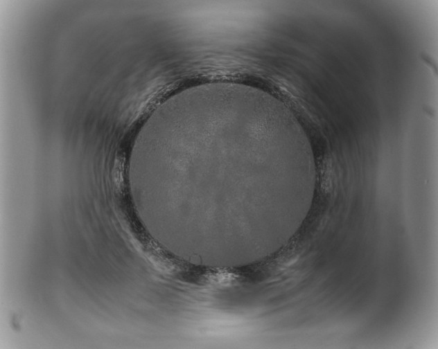 X0000100340695200806051538
