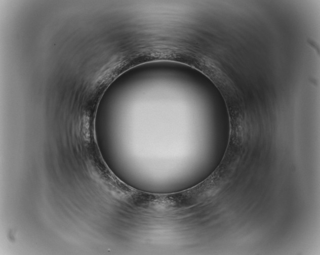 X0000100340696200806051538