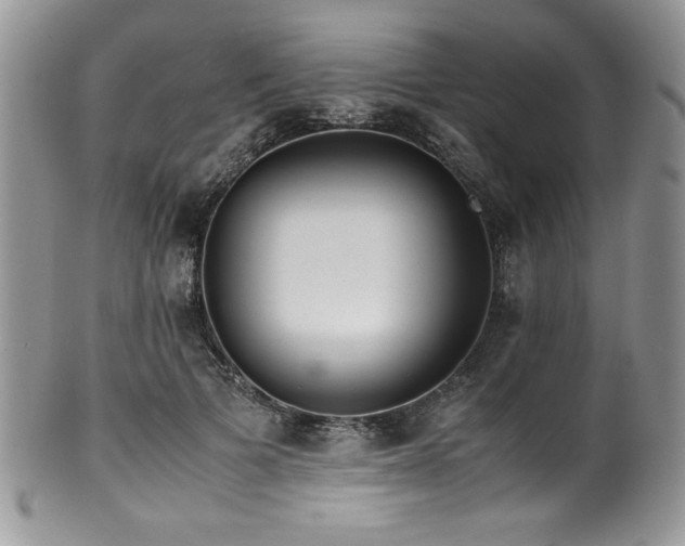 X0000100340697200806051538