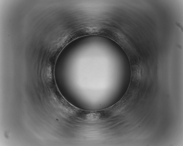 X0000100340700200806051538