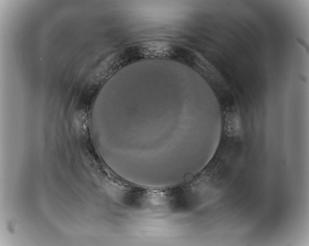 X0000100340701200806051538