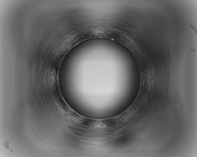 X0000100340702200806051538