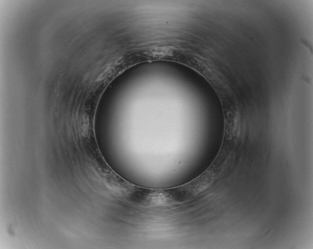 X0000100340704200806051538