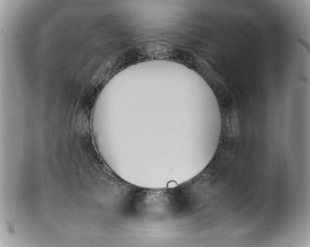 X0000100340705200806051538