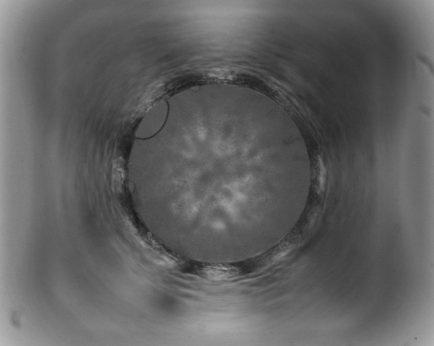 X0000100340707200806051538