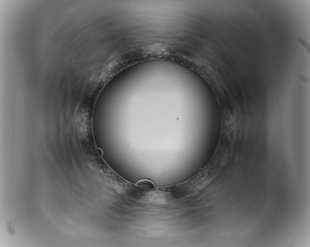 X0000100340708200806051538