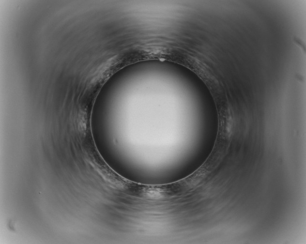 X0000100340710200806051538