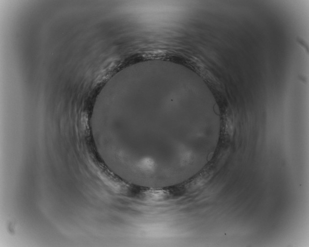 X0000100340711200806051538