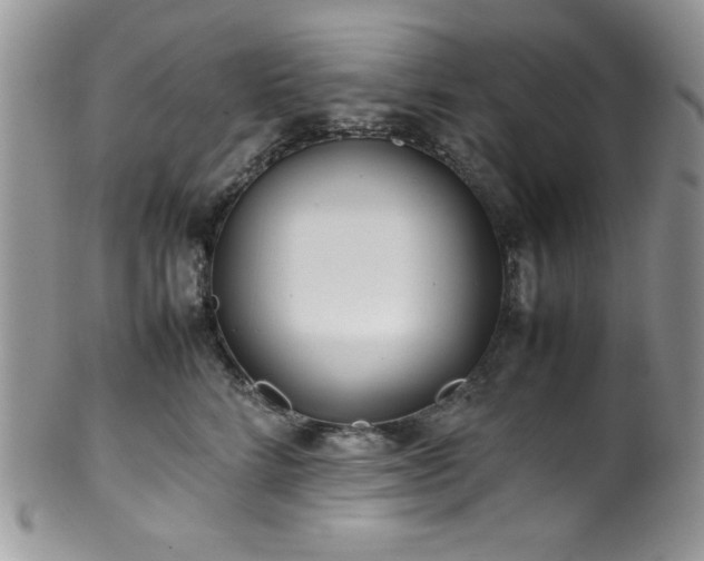 X0000100340712200806051538