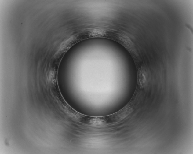X0000100340714200806051538