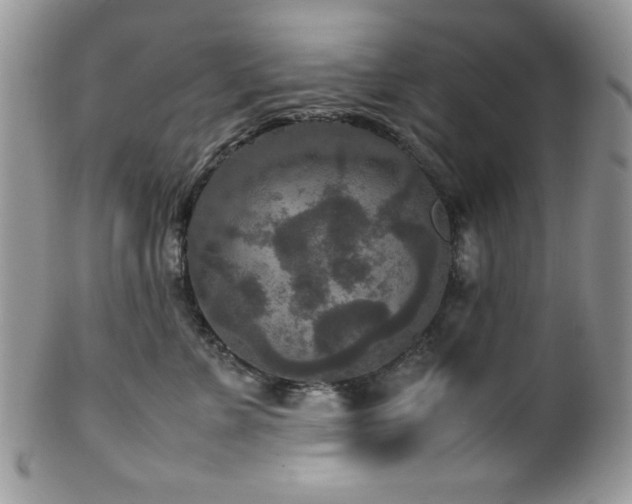 X0000100340715200806051538