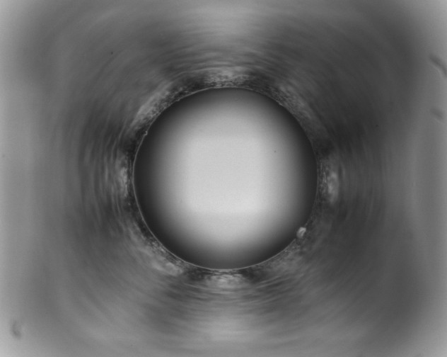 X0000100340716200806051538