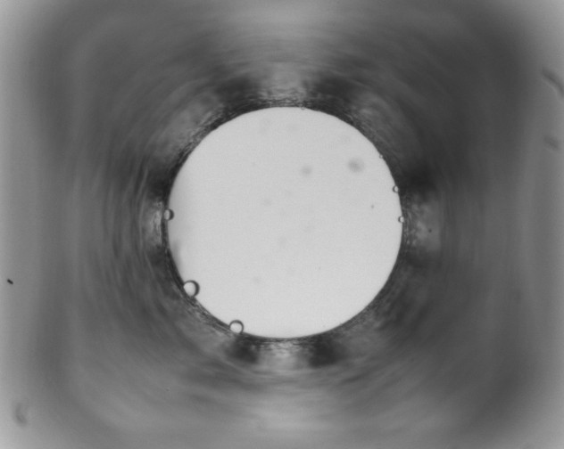 X0000100340717200806051538