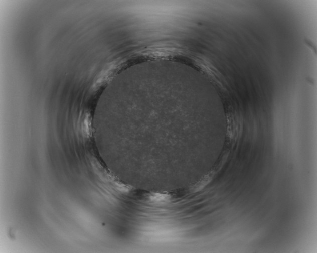 X0000100340718200806051538