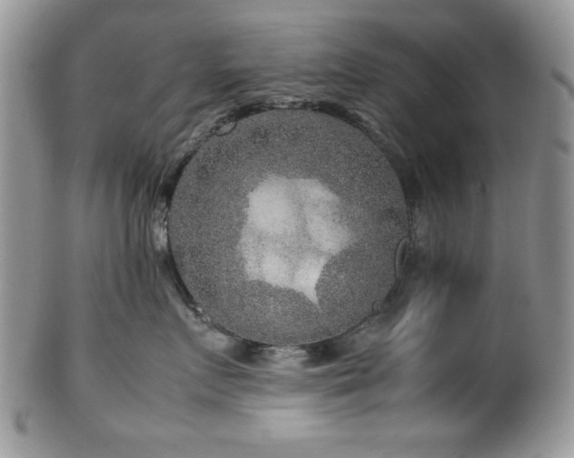 X0000100340719200806051538