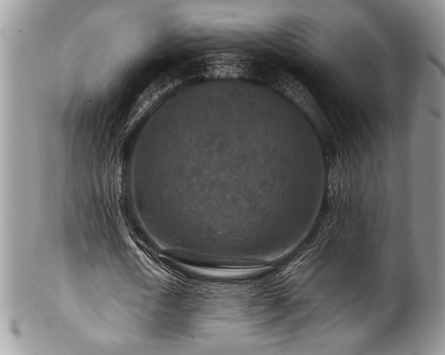 X0000100340722200806051537