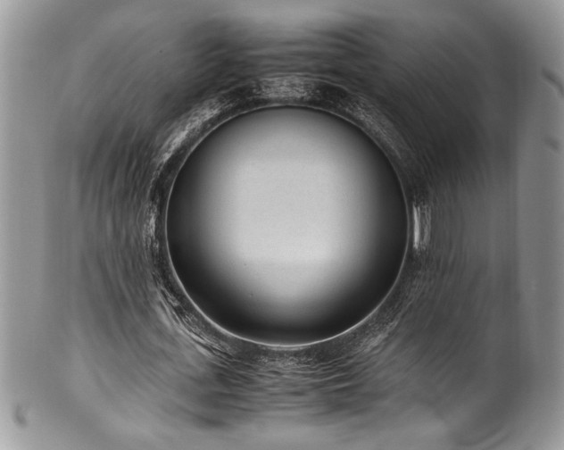 X0000100340723200806051537